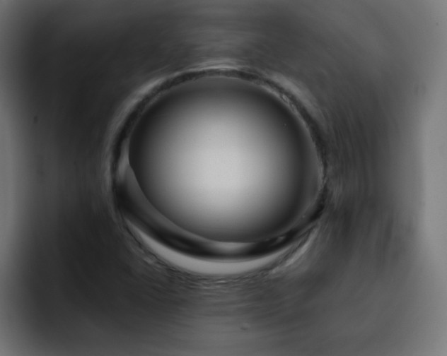 X0000093131406200710031343