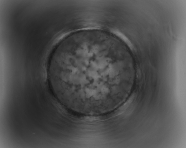 X0000093131407200710031343
