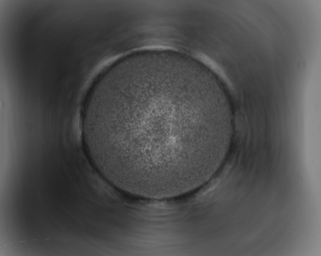X0000093131408200710031343