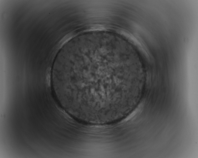 X0000093131409200710031343