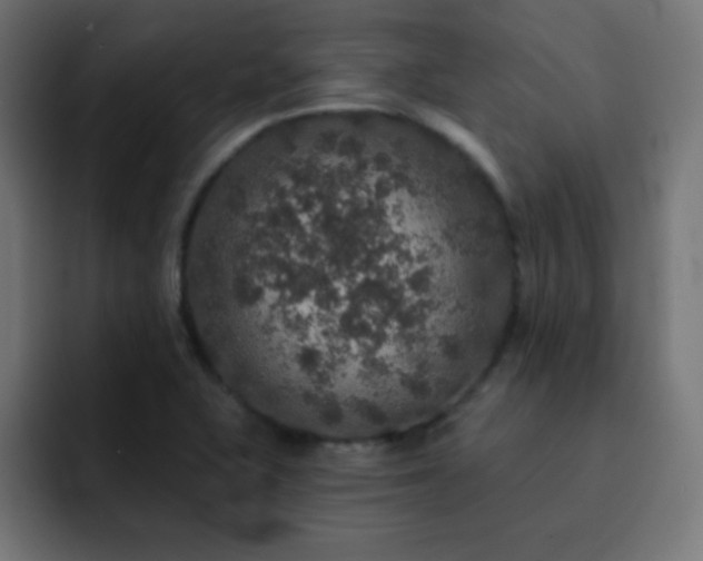 X0000093131415200710031343