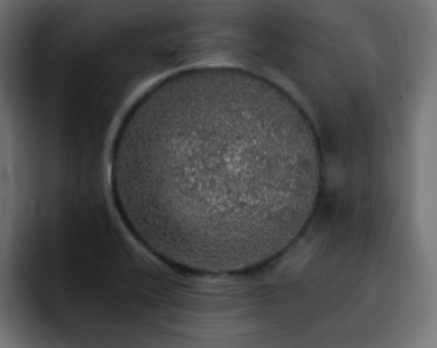 X0000093131416200710031343