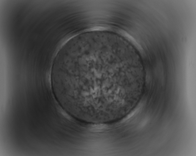 X0000093131417200710031344