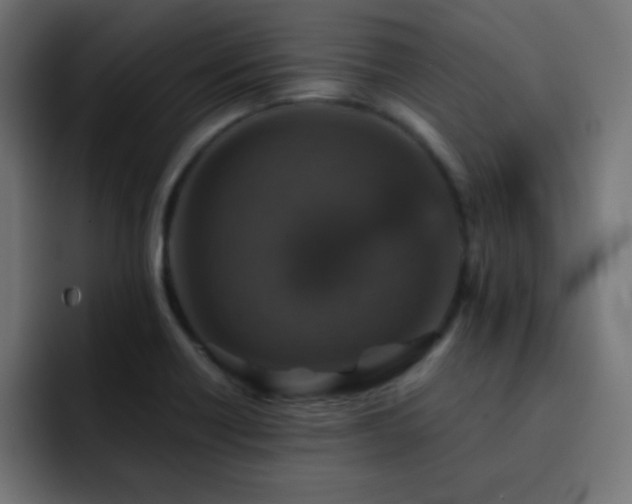 X0000093131418200710031344