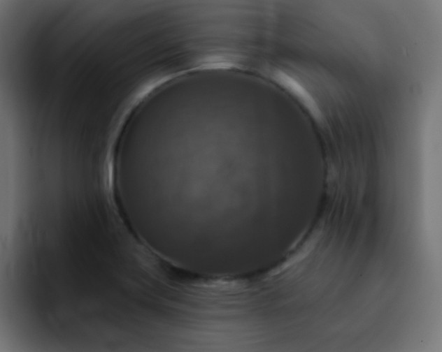 X0000093131419200710031344