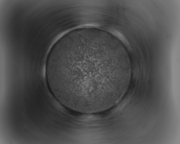 X0000093131420200710031344