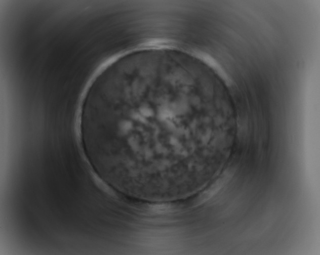 X0000093131421200710031344