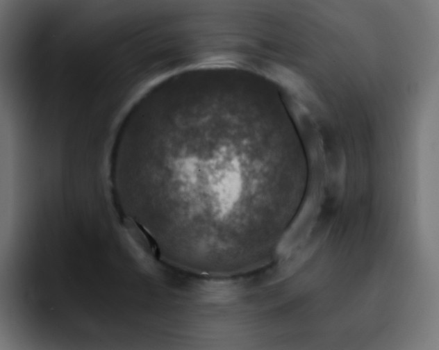 X0000093131422200710031344
