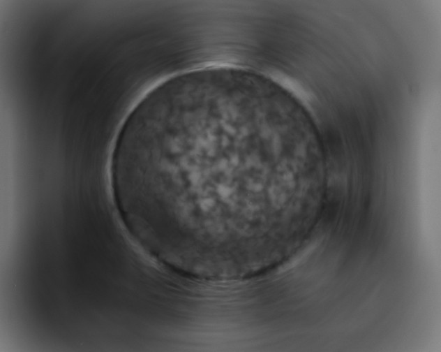 X0000093131423200710031344