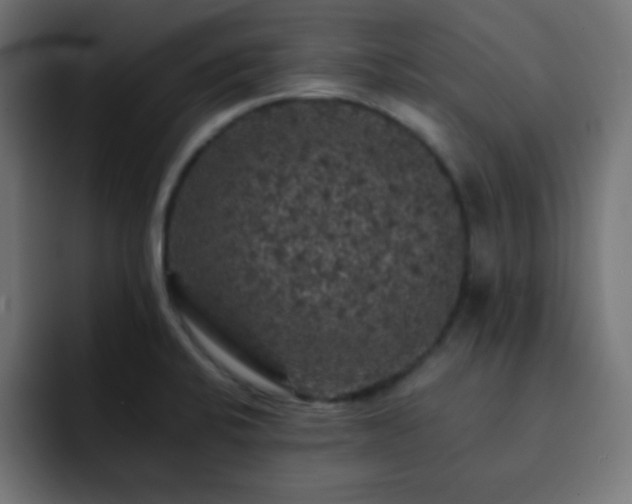 X0000093131424200710031344