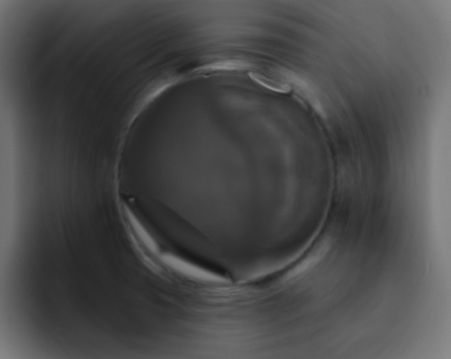 X0000093131425200710031344