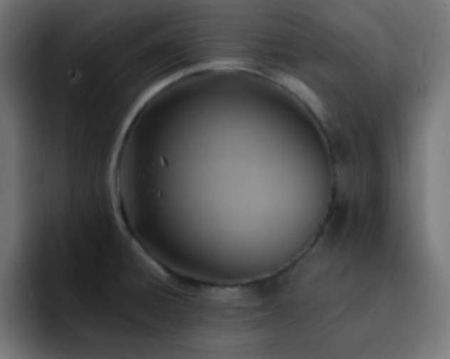 X0000093131428200710031344