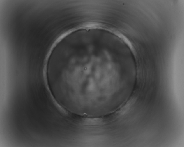 X0000093131429200710031344