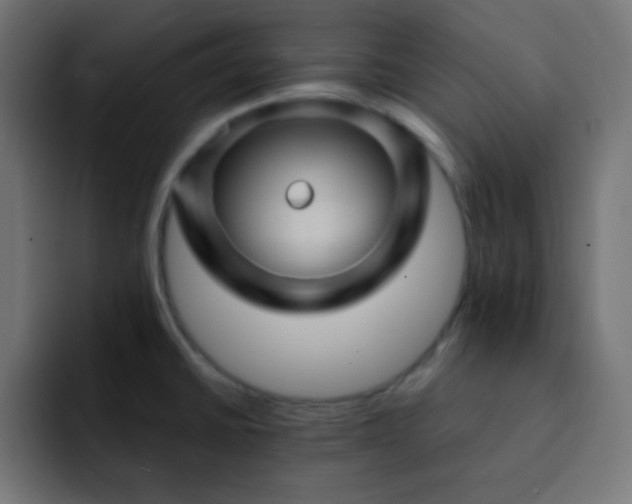 X0000093131430200710031344