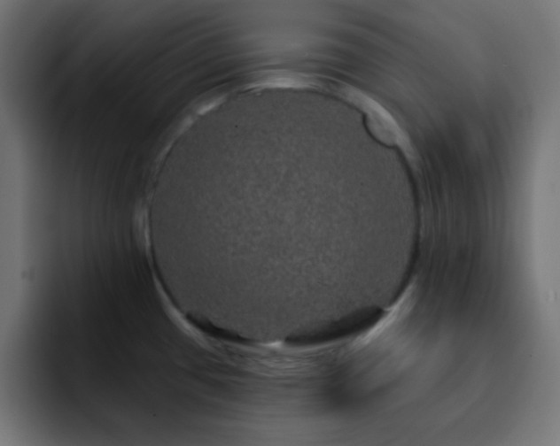 X0000093131433200710031344