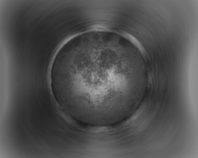 X0000093131435200710031344