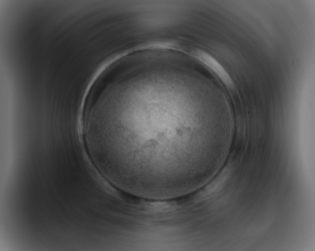 X0000093131436200710031344