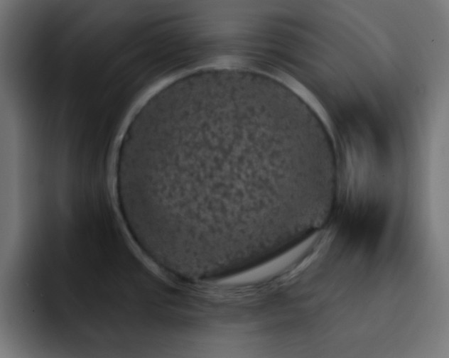X0000093131437200710031344