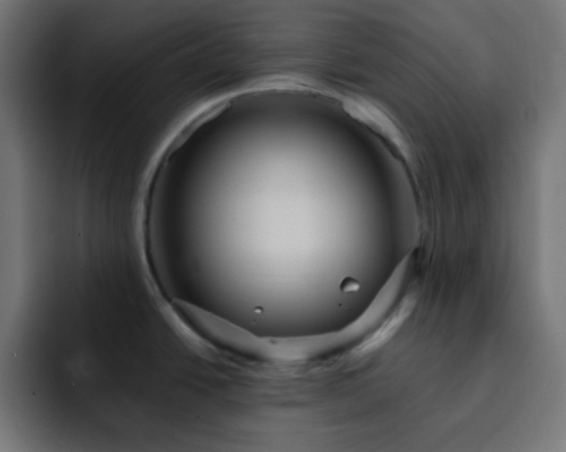 X0000093131438200710031344