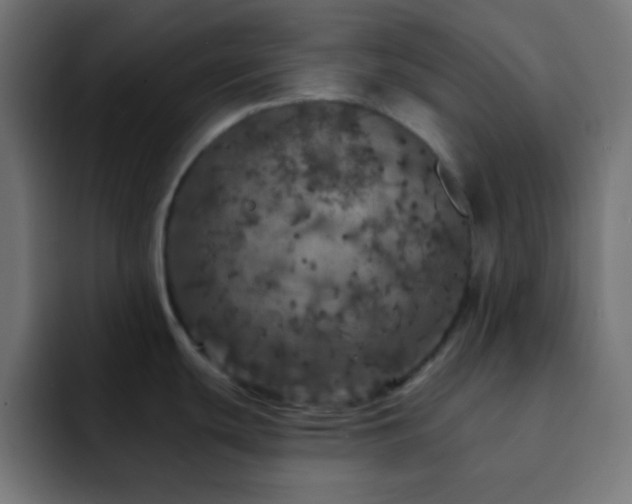 X0000093131439200710031344