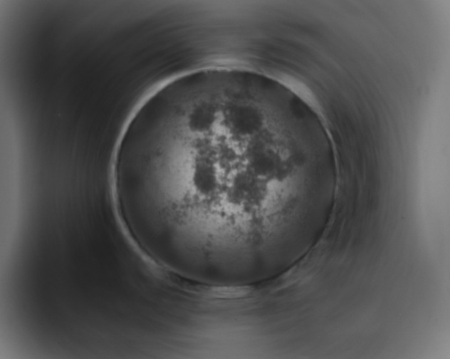 X0000093131440200710031344