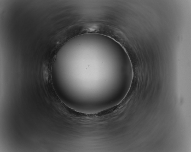 X0000093131442200710031343