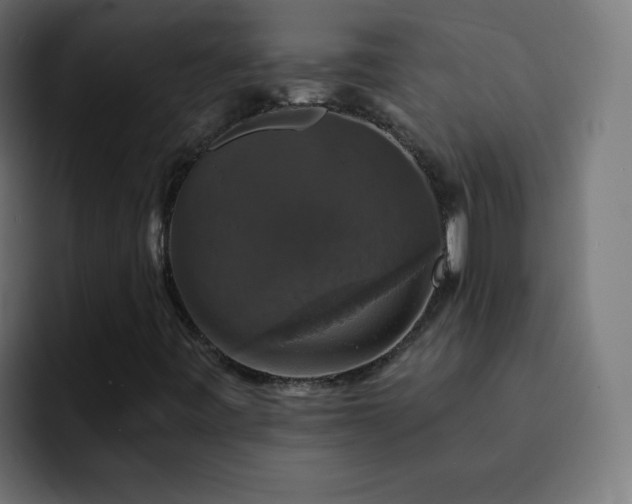 X0000093131443200710031343