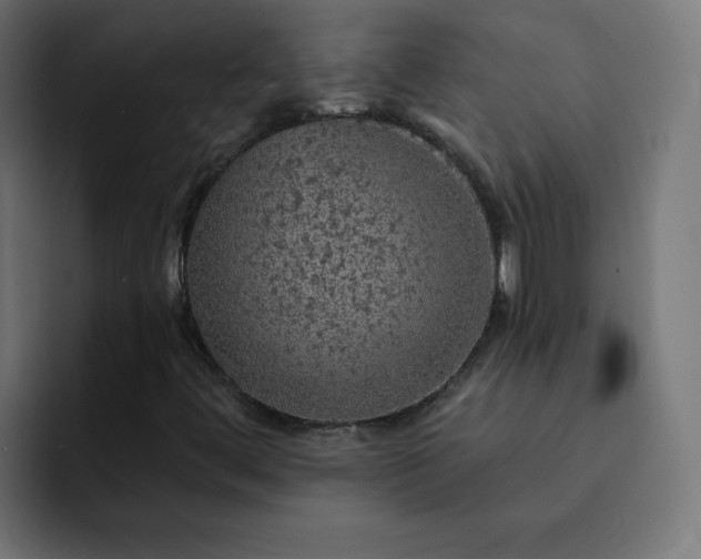 X0000093131444200710031343