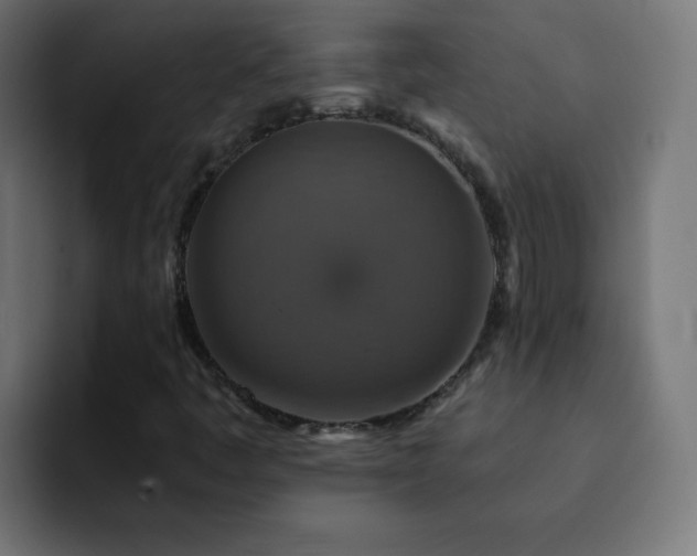 X0000093131445200710031343