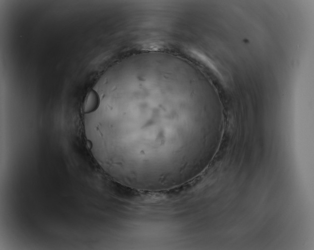 X0000093131446200710031343