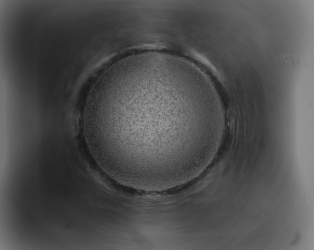 X0000093131448200710031343