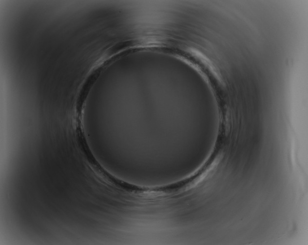 X0000093131449200710031343