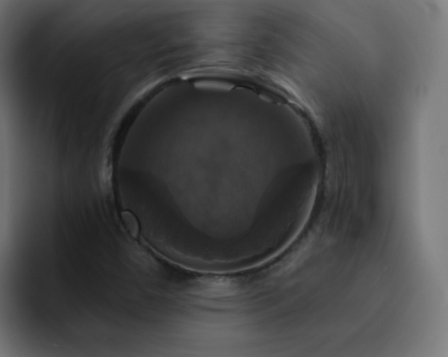 X0000093131450200710031343