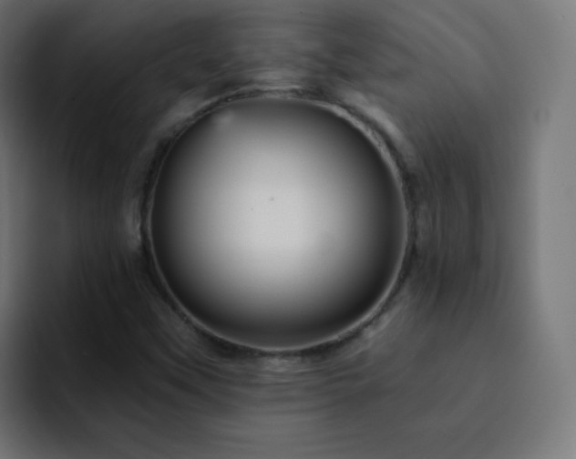 X0000093131451200710031343