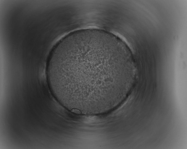 X0000093131452200710031343