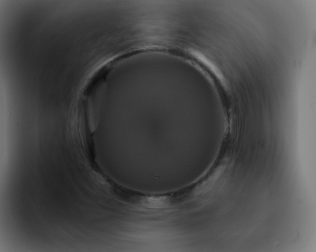 X0000093131453200710031343