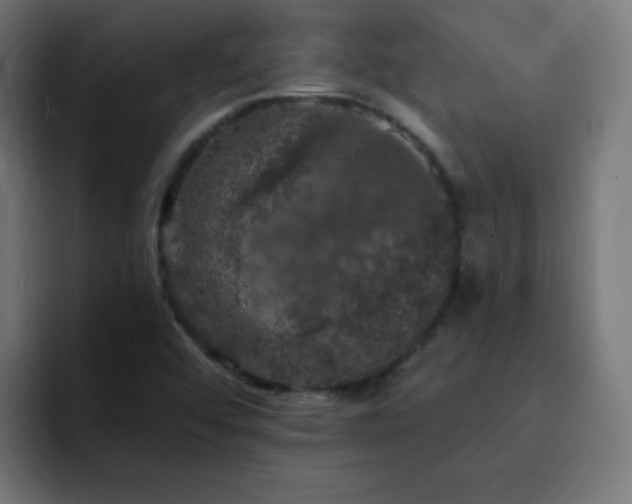 X0000093131456200710031343