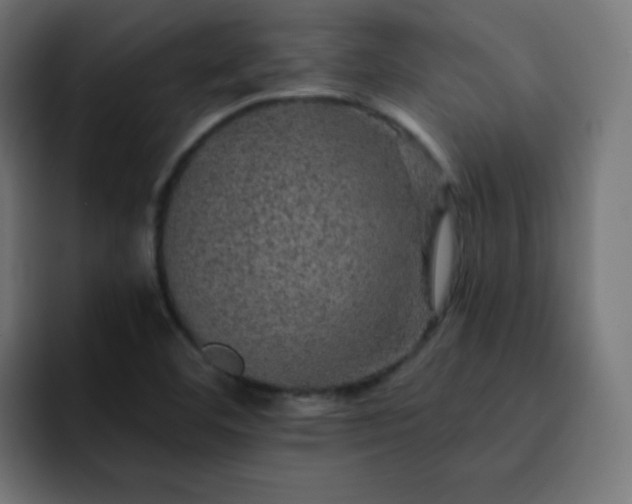 X0000093131460200710031343