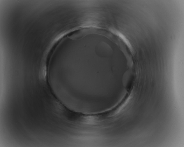 X0000093131461200710031343