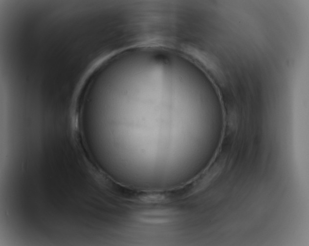 X0000093131462200710031343