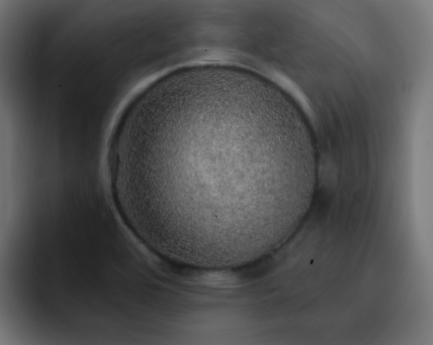 X0000093131464200710031343