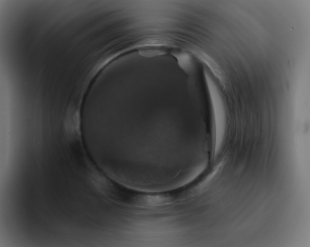 X0000093131465200710031343