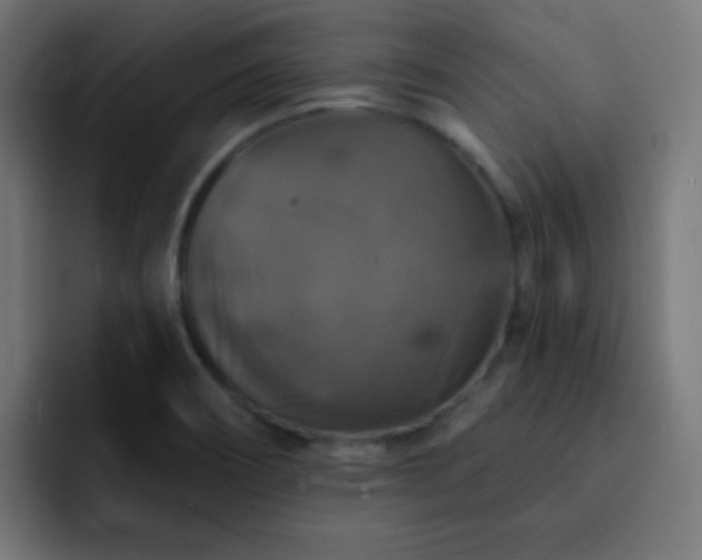 X0000093131466200710031343