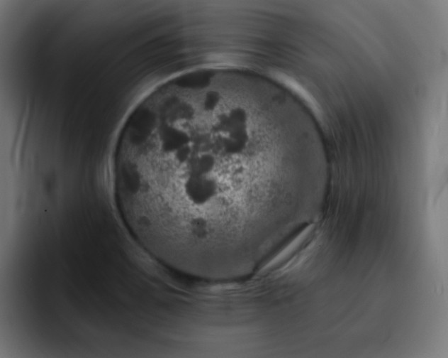 X0000093131467200710031343