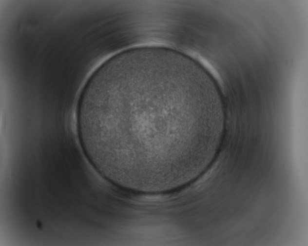 X0000093131468200710031343