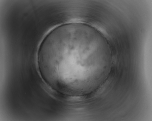 X0000093131470200710031343