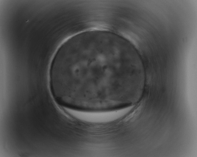 X0000093131471200710031343