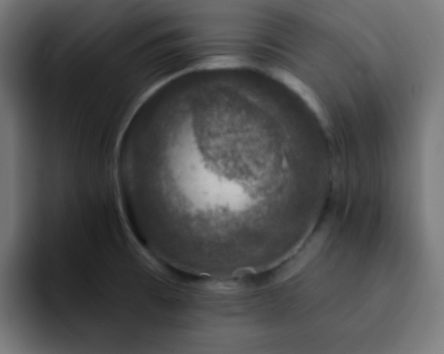 X0000093131473200710031343