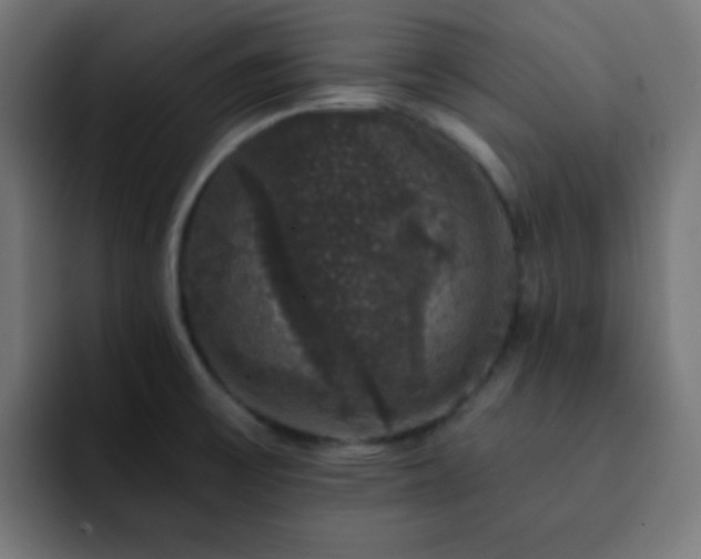 X0000093131475200710031343