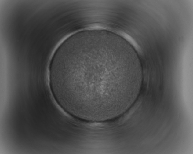 X0000093131476200710031343